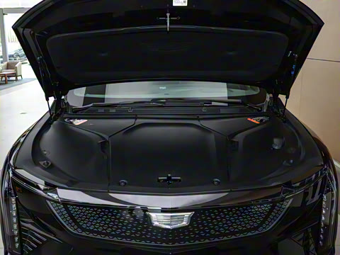 2024�� ������������