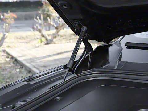 2025�� 636Max����� 5��