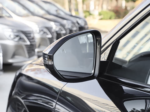 2025�� 636Max����� 5��