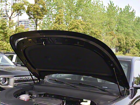 2025�� 215������