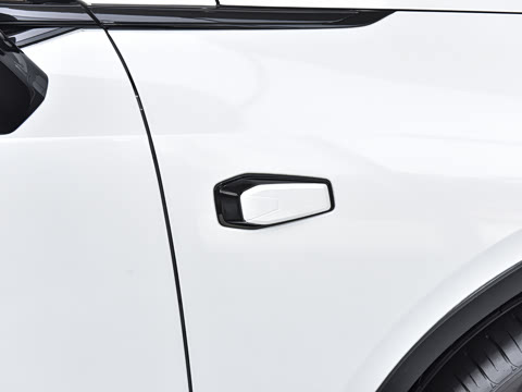 2025�� 530Max  �����Ǽ�AD PRO�����