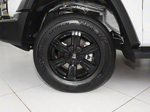 2025�� 2.0T ��ս��