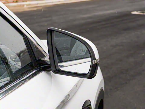 2025�� DM-i �Ǽݰ� 112KM ������