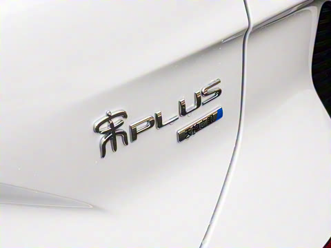 2025�� DM-i �Ǽݰ� 112KM ������