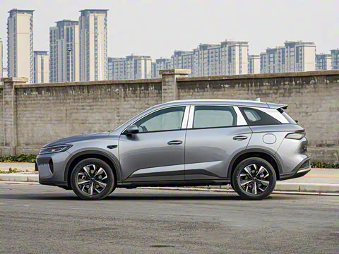 2025�� DM-i �Ǽݰ� 115KM������