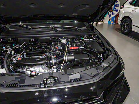 2025�� �˶�ϵ�� 260TURBO ����