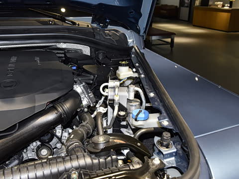 2025�� Trialmaster��