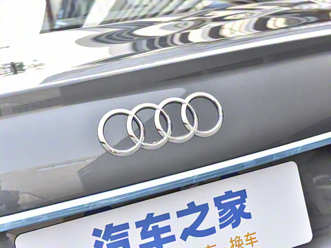 2025�� �Ŀ� 45 TFSI ��ѡ������