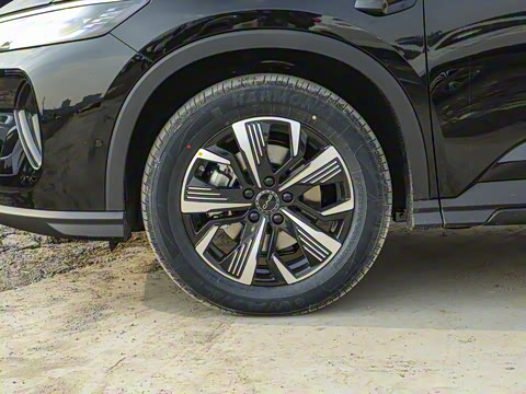 2025�� DM-i �Ǽݰ� 75KM�����