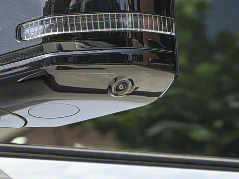 2025�� 501���������