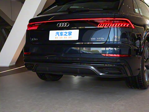 2023�� 55 TFSI ����������