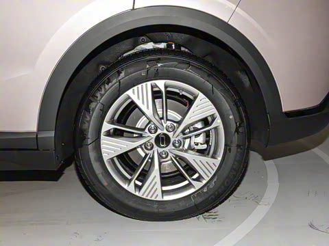 2025�� 565km ������