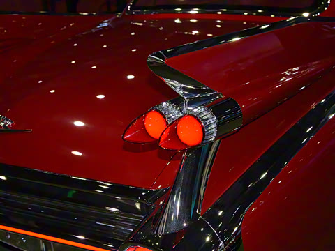 2025�� ������