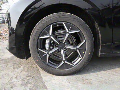 2025�� 530km ����Max