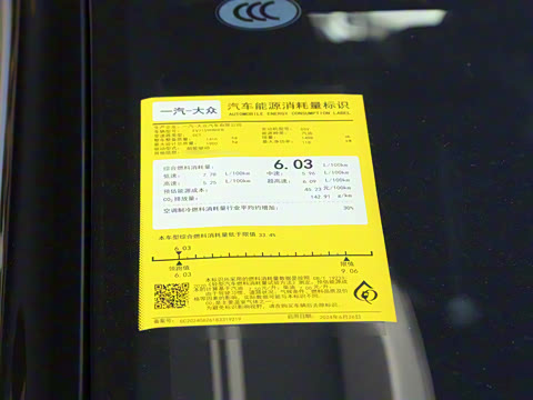 2025�� 300TSI DSG���������