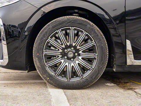 2025�� EV �������������