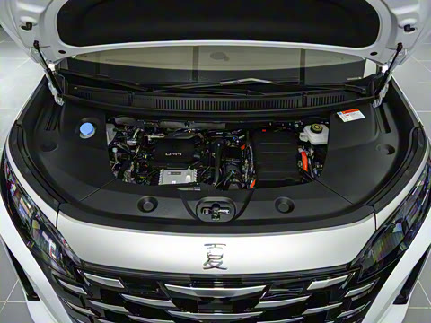 2025�� DM-i 1.5T 100km ��Խ��