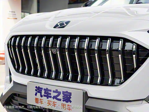 2021�� 300T DCT��������� 7��