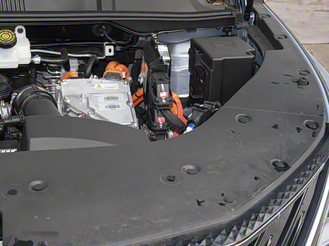 2025�� PHEV ������ 7��