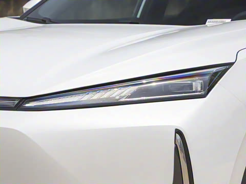 2025�� 205��������������