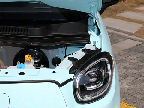 2025�� 310������