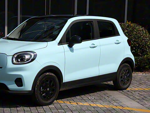 2025�� 310������