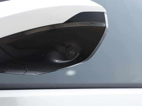 2025�� 205��������������