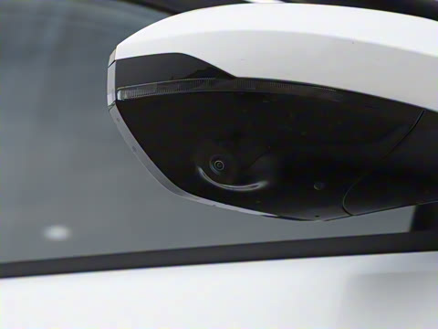 2025�� 205��������������