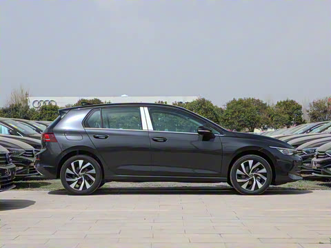 2025�� 300TSI Pro