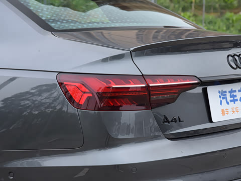 2025�� 200���������� 45 TFSI quattro ��ѡ������