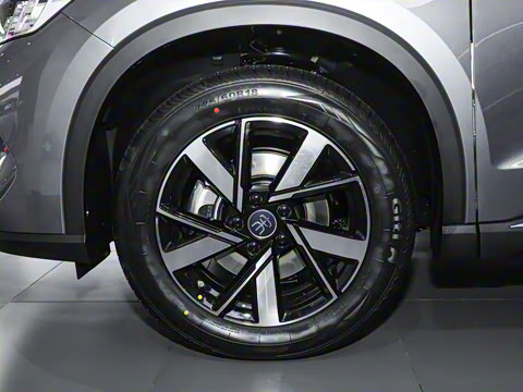 2024�� ��ҫ�� DM-i 110KM��Խ��