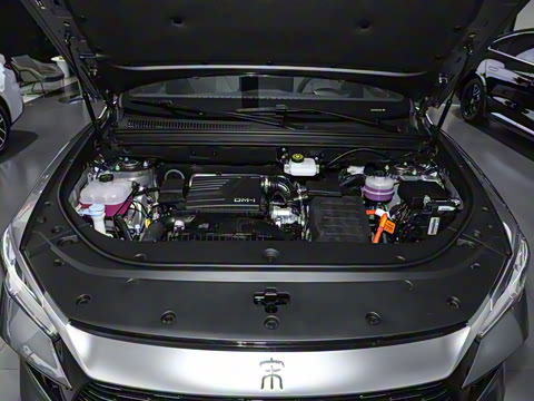 2024�� ��ҫ�� DM-i 110KM��Խ��