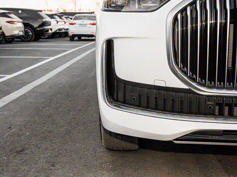 2025�� 1.5T 106KM������ 5�� �������