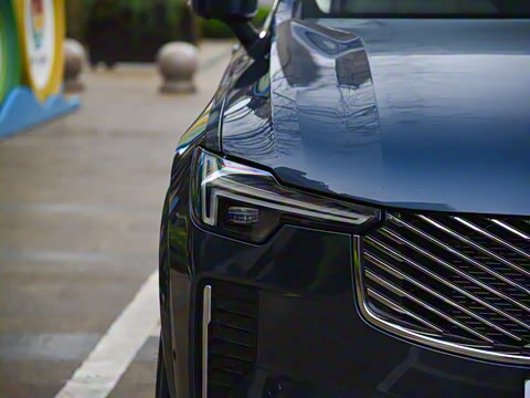 2025�� �Ŀ� T8 ��������� 7��