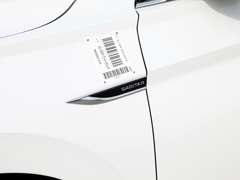 2025�� 300TSI DSG��Խ��