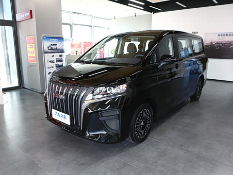 2025�� 2.0L �Զ���������� 7��