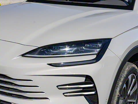 2025�� DM-i �Ǽݰ� 112KM ������