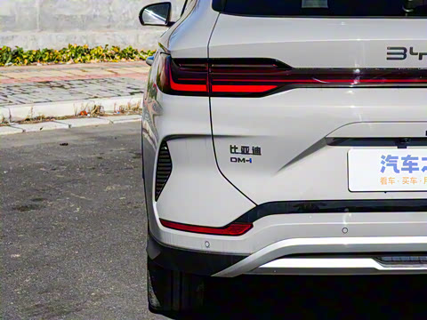 2025�� DM-i �Ǽݰ� 112KM ������