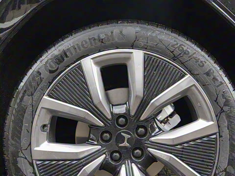 2025�� ����������Max