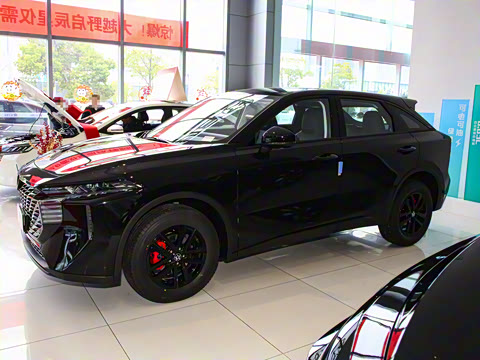 2024�� 260T ���ǰ� Pro