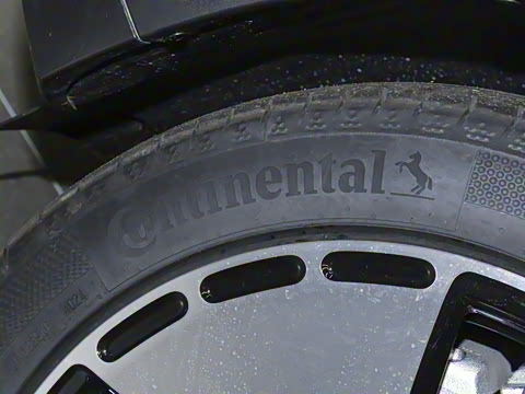 2024�� ������������ ������