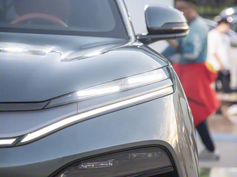 2025�� DM 175KM���˻���Ұ�