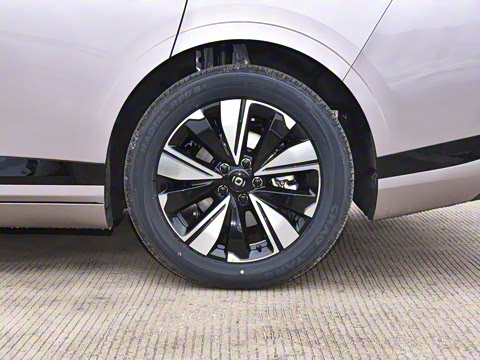 2025�� ��������� 515�����