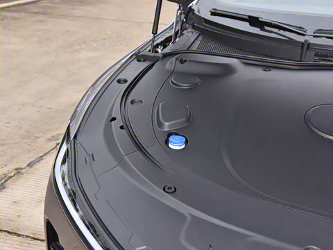 2025�� ��������� 515�����