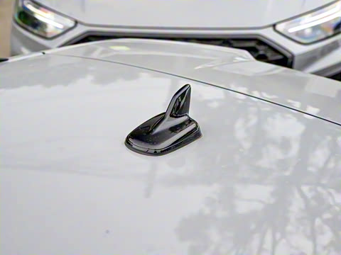 2024��  RS4 Avant ȼ���