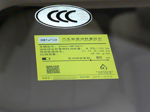 2025�� DM-i 1.5T 100km ��Խ��