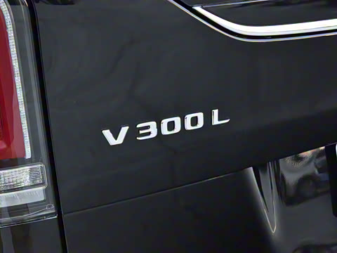 2025�� 2.0T V�������ֵ�һ���