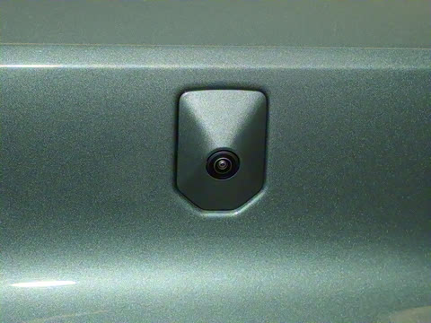 2025�� ����������