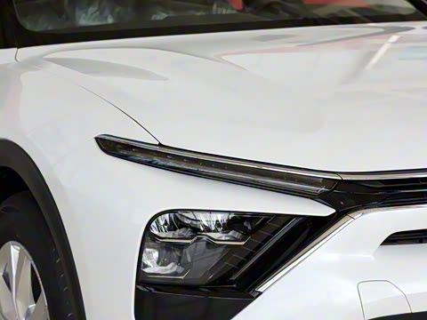 2025�� 1.6T �����