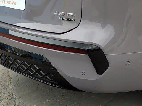 2025�� ;�� Pro 450TSI �����ݺ��